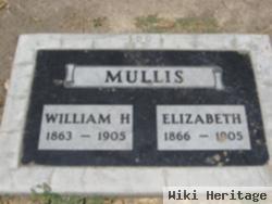 William H Mullis