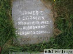 James E Gorman