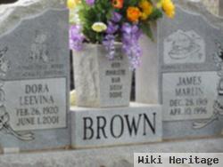 James Marlin Brown