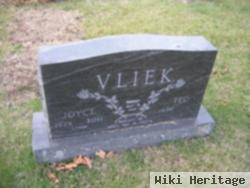 Joyce Stover Vliek