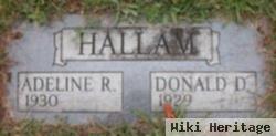 Donald D. Hallam