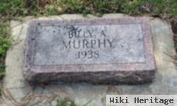 Billy Ann Murphy