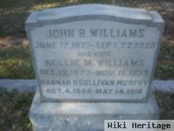 John B. Williams