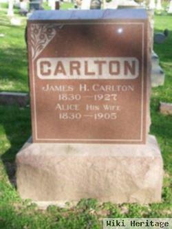 James H. Carlton