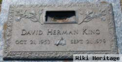 David Herman King