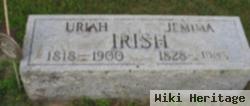 Uriah S. Irish