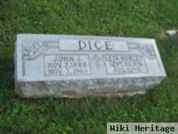 John J Dice