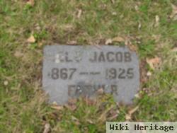 Nels Jacob Larson