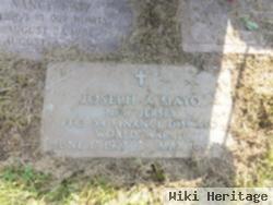 Joseph A Mayo