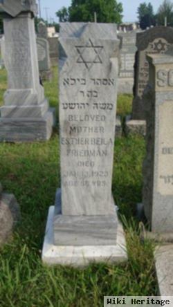 Esther Beila Friedman