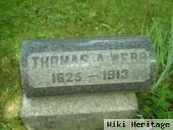 Thomas A Webb