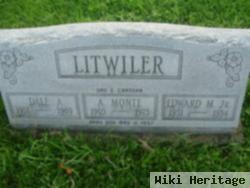 Baby Boy Litwiler