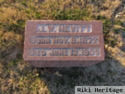 Joseph W Nevitt