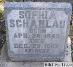 Sophia "sophie" King Scharlau