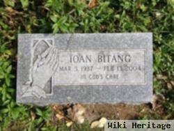 Ioan Bitang