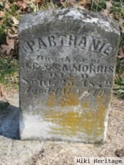Parthanie Morris