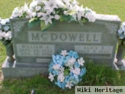 Alice Ellen Mckinnon Mcdowell