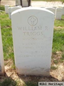 William R Triggs