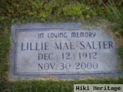 Lillie Mae Vines Salter