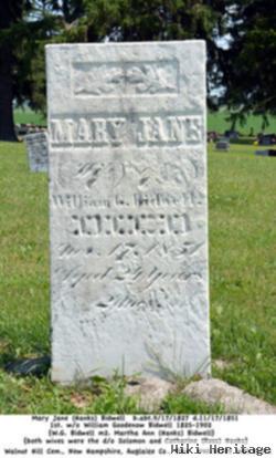 Mary Jane Hanks Bidwell