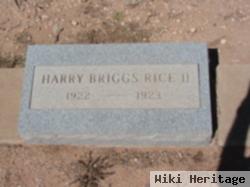 Harry Briggs, Ii