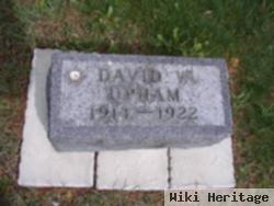 David W Upham