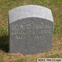 Alice E. Senton