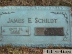 James E. Shildt