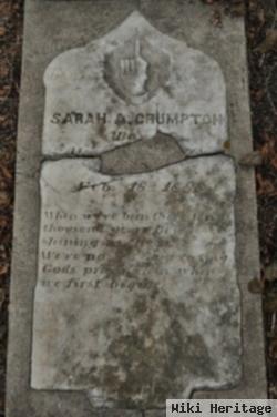 Sarah Ann Crumpton