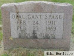 Opal Gant Spake