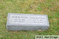 Jacob W Wilson