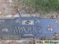 Mary R Marks