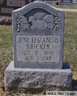 June Elizabeth Bricker