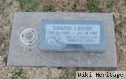 Timothy J Bishop