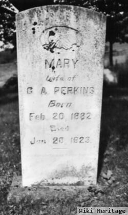 Mary Sapp Perkins