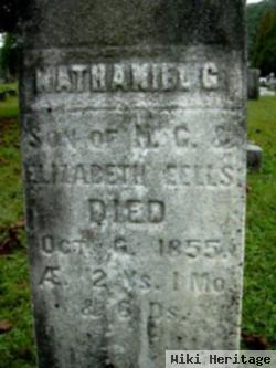 Nathaniel Gray Eells, Iii