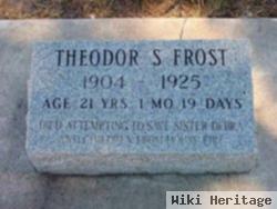 Theodore Stevens Frost