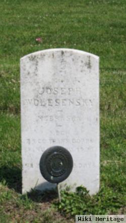 Joseph Wolesensky