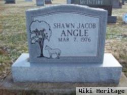 Shawn Jacob Angle