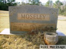 Andrew O. Moseley