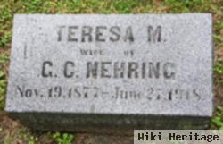 Teresa M. Nehring