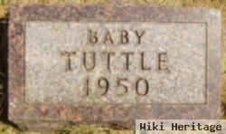 Baby Tuttle