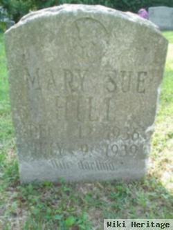 Mary Sue Hill