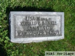 Lisa M. Jannings