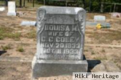 Louisa "margaret" Lasater Coley