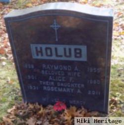 Raymond A. Holub