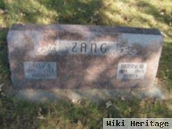 Henry W. Zang