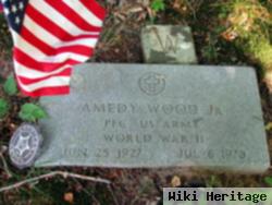 Amedy Wood, Jr