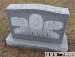 Susannah Ellen Klinger Herner