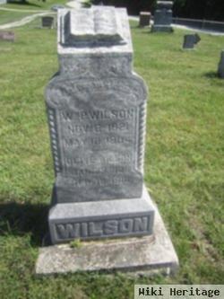 William P Wilson